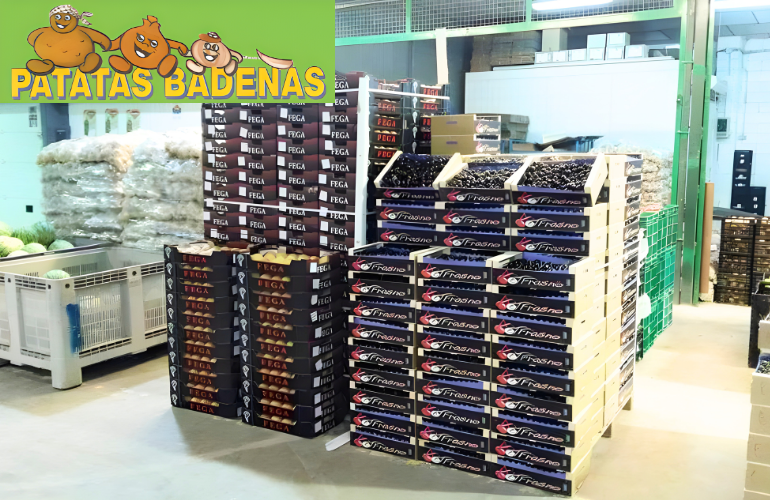 Paradas de frutas y verduras frescas en Mercado de Patatas Badenas Castellón