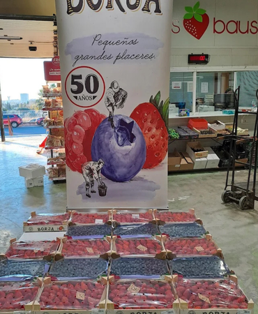 Puesto de frutas frescas en Mercado Bausá, Castellón – Verduras Pitarch